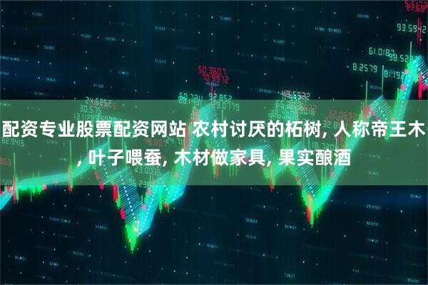 配资专业股票配资网站 农村讨厌的柘树, 人称帝王木, 叶子喂蚕, 木材做家具, 果实酿酒