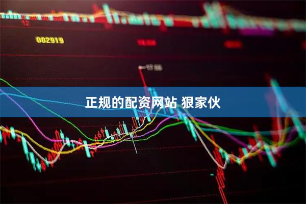 正规的配资网站 狠家伙